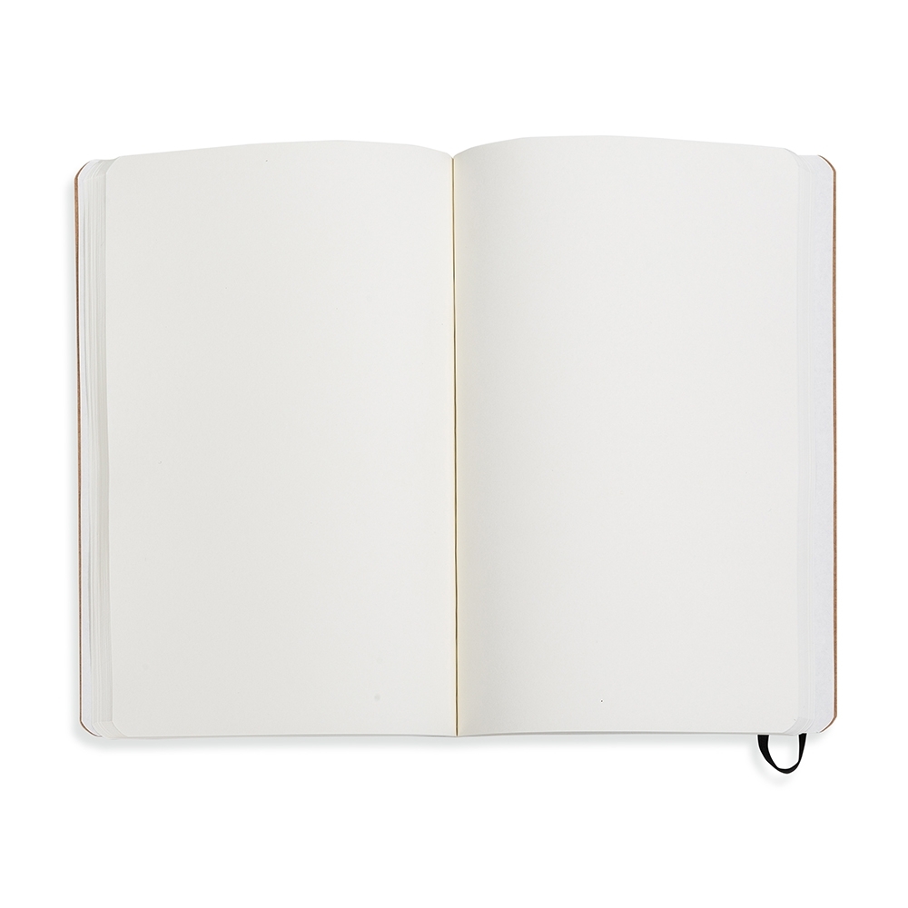 moleskine graph paper journal